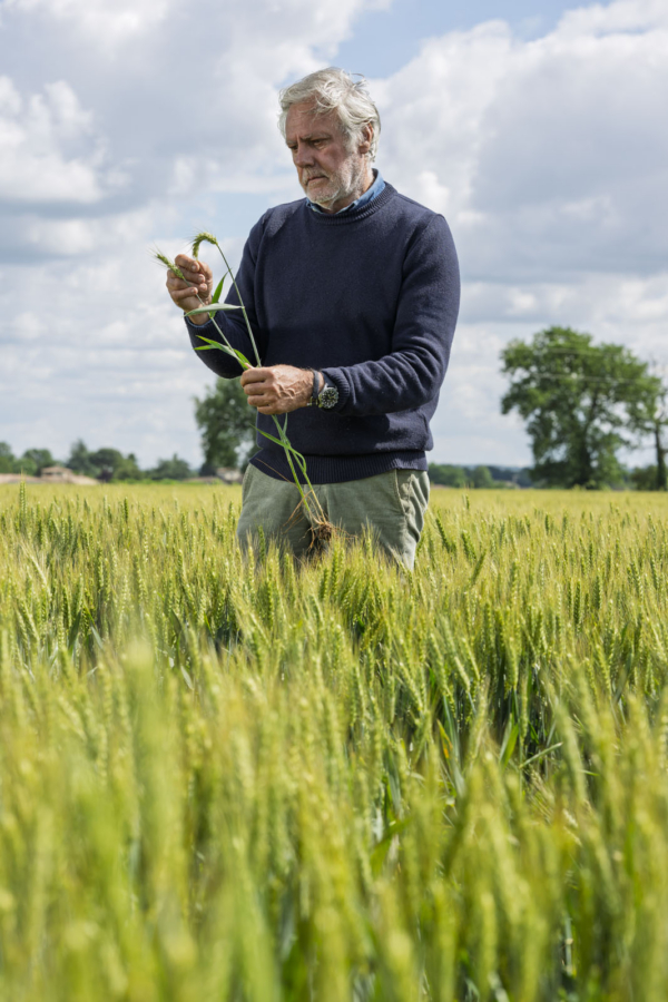 Down-To-Earth-WHEAT.10-600×900